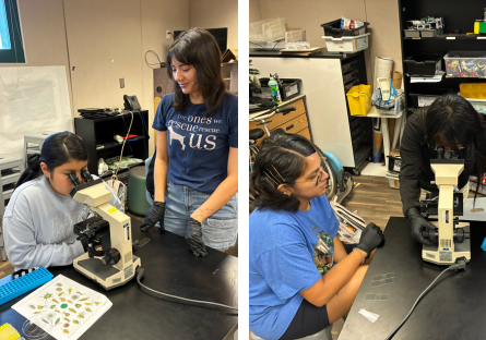 PC students Alma and Yesenia assist Maryvale middle school students with scientific discovery