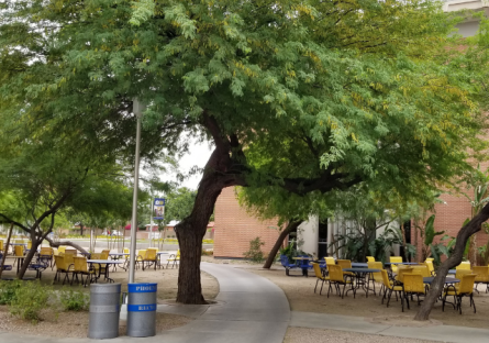 Image of Jay Faulkner Mesquite Court