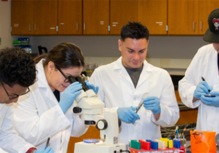 lab students