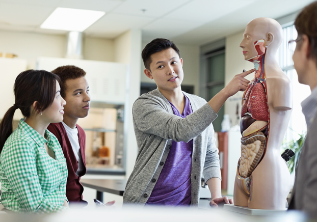 Dental and Allied Health