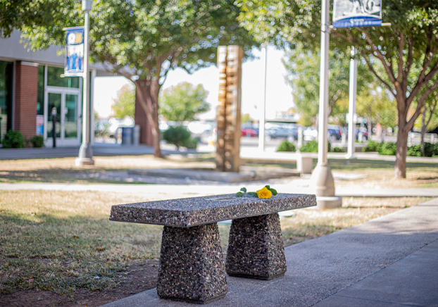 Memorial / Tribute Bench